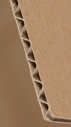 Pizza Box Packaging